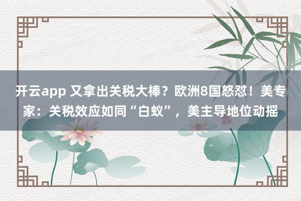 开云app 又拿出关税大棒？欧洲8国怒怼！美专家：关税效应如同“白蚁”，美主导地位动摇