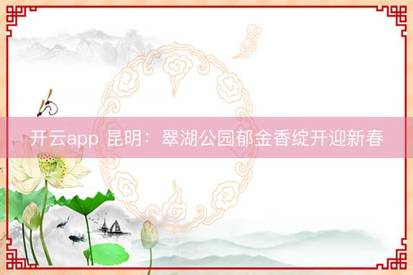 开云app 昆明：翠湖公园郁金香绽开迎新春