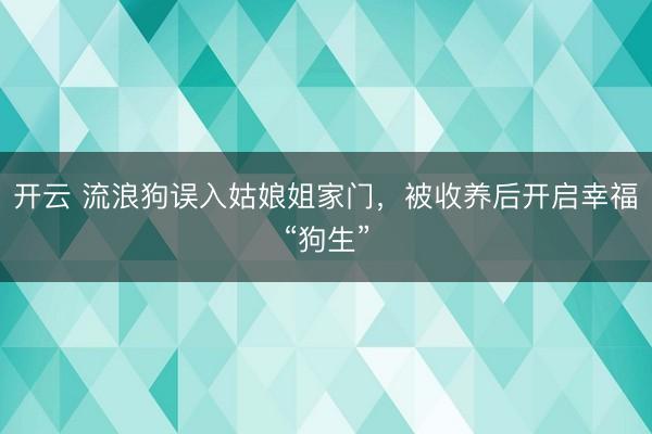 开云 流浪狗误入姑娘姐家门,被收养后开启幸福“狗生”