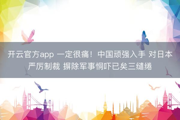 开云官方app 一定很痛!中国顽强入手 对日本严厉制裁 摒除军事恫吓已矣三缱绻